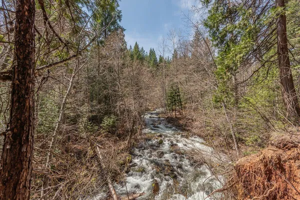 $345,000 | 121-141 Mountain Aire Road, Trinity Center, CA 96091