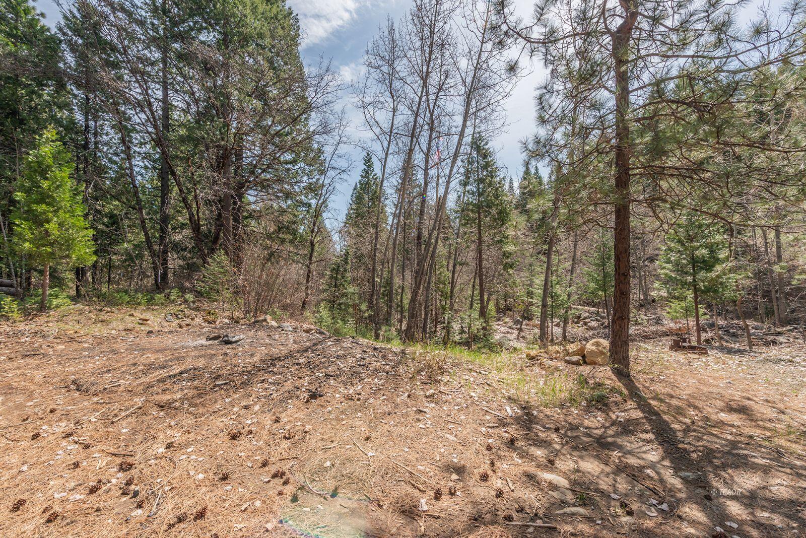 121-141 Mountain Aire Road Trinity Center, CA 96091 - Photo 38 of 51 a fire hydrant in the middle of a forest