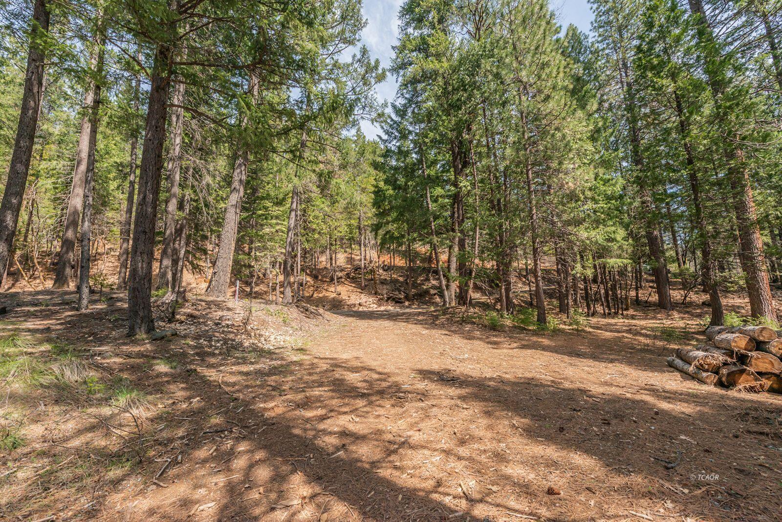 121-141 Mountain Aire Road Trinity Center, CA 96091 - Photo 42 of 51 a view of a yard with trees
