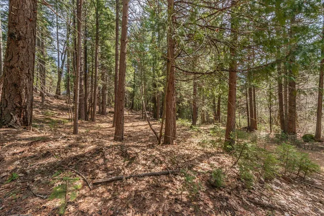 a view of outdoor space with trees