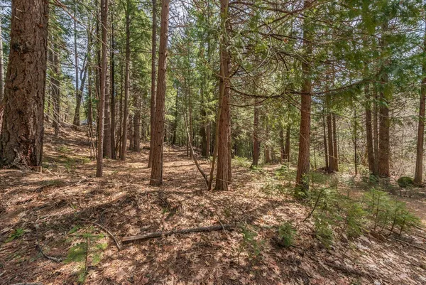 $345,000 | 121-141 Mountain Aire Road, Trinity Center, CA 96091