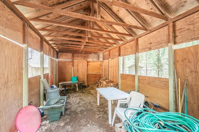 a view of a forest with trees in the background
