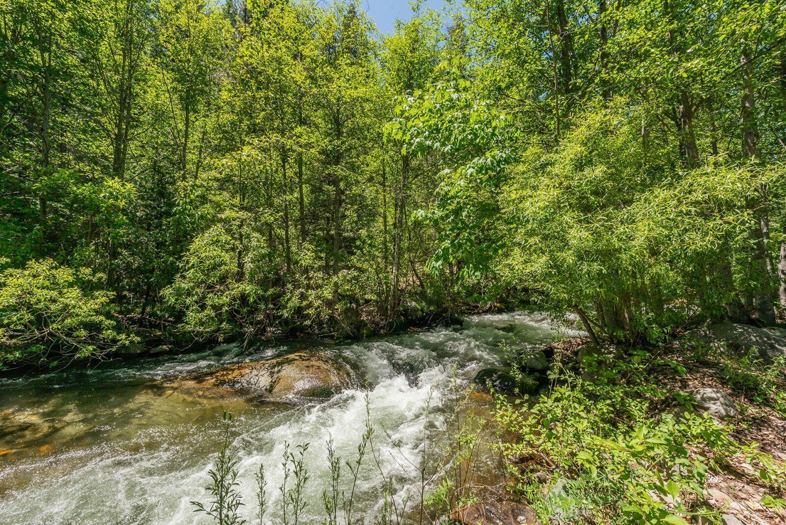 121-141 Mountain Aire Road Trinity Center, CA 96091 - Photo 5 of 51 a view of outdoor space and yard