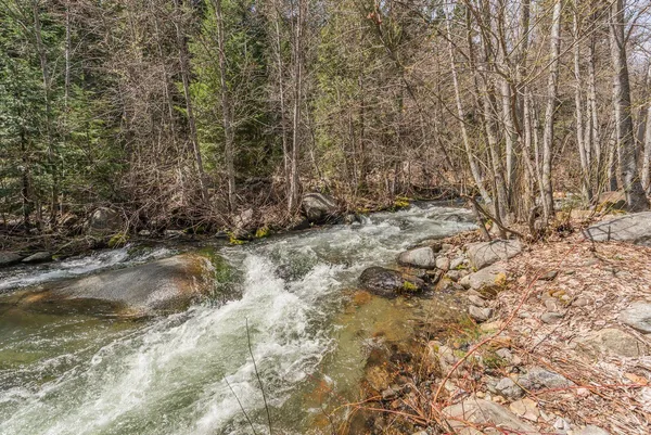 $345,000 | 121-141 Mountain Aire Road, Trinity Center, CA 96091