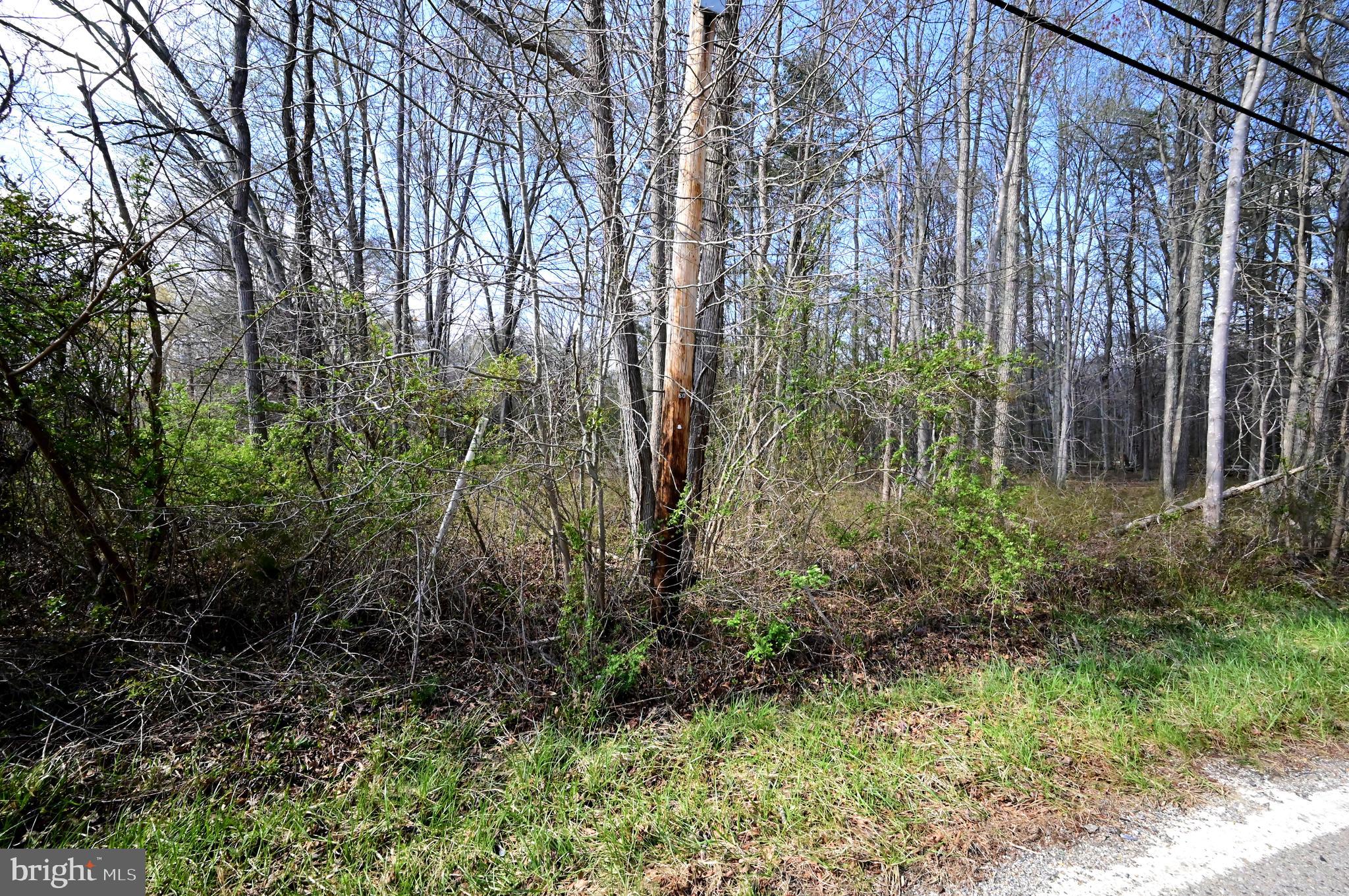 18109 Livingston Road Accokeek, MD 20607 - Photo 4 of 8