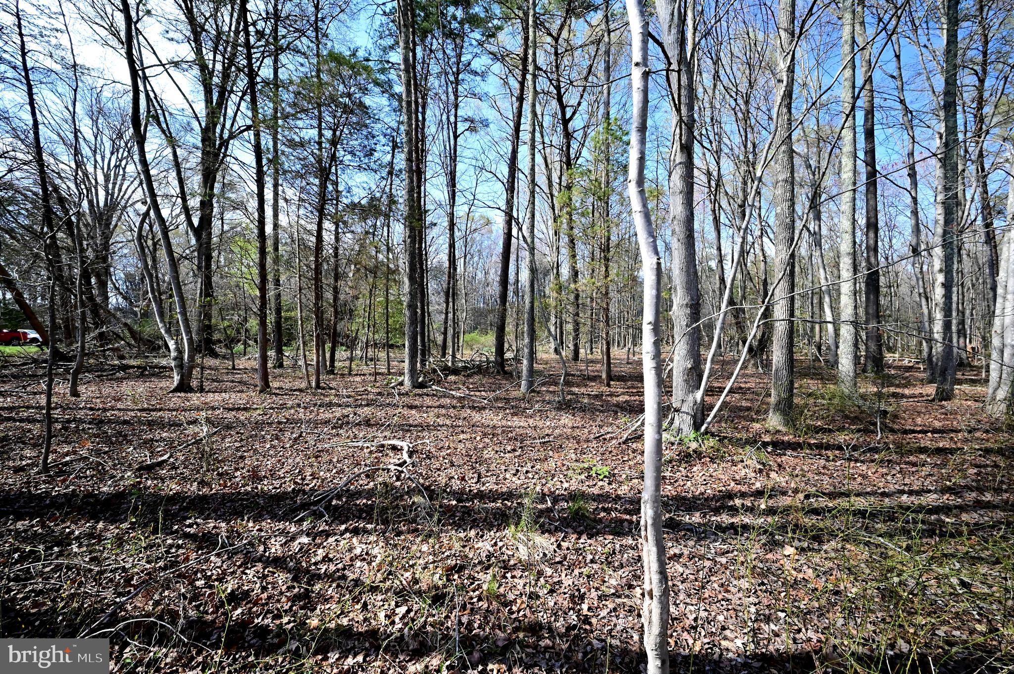 18109 Livingston Road Accokeek, MD 20607 - Photo 5 of 8