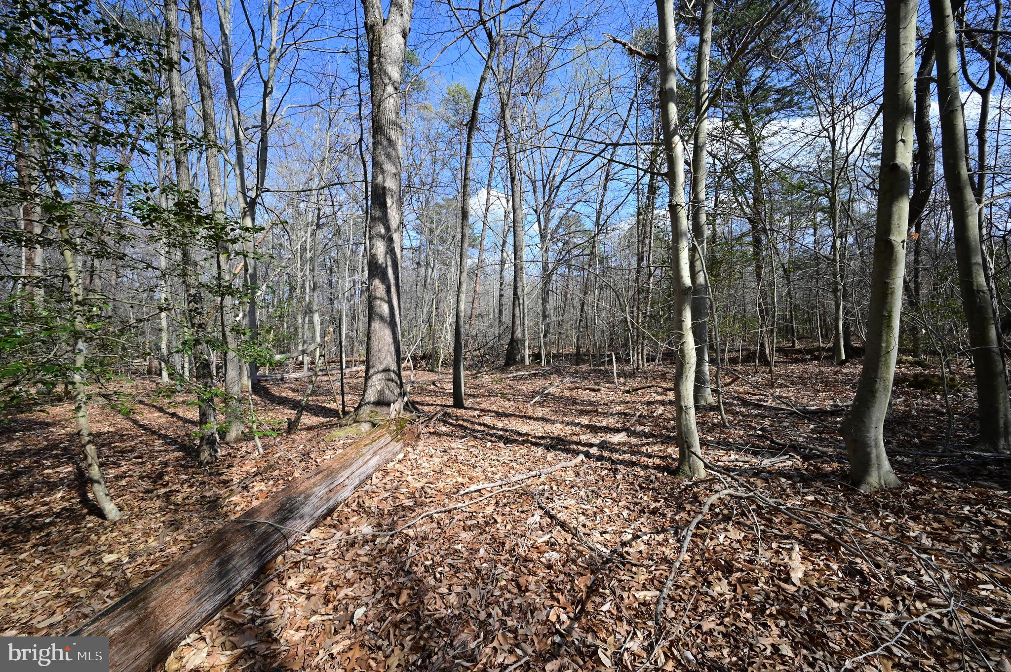 18109 Livingston Road Accokeek, MD 20607 - Photo 7 of 8