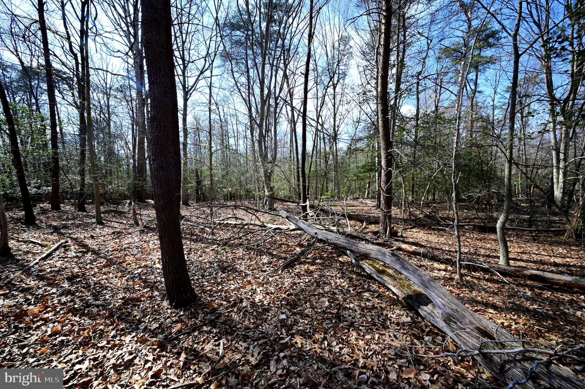 18109 Livingston Road Accokeek, MD 20607 - Photo 8 of 8