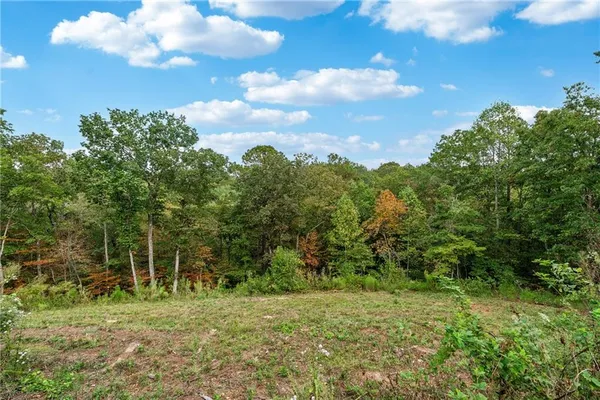 $1,299,999 | 38 Mountain Ridge Road Northeast, White, GA 30184