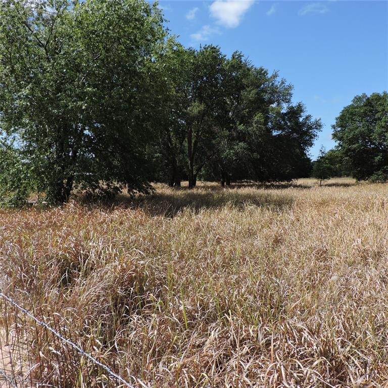 Maricamp Road Ocklawaha, FL 32179 - Photo 15 of 25 a view of dirt yard with a large tree