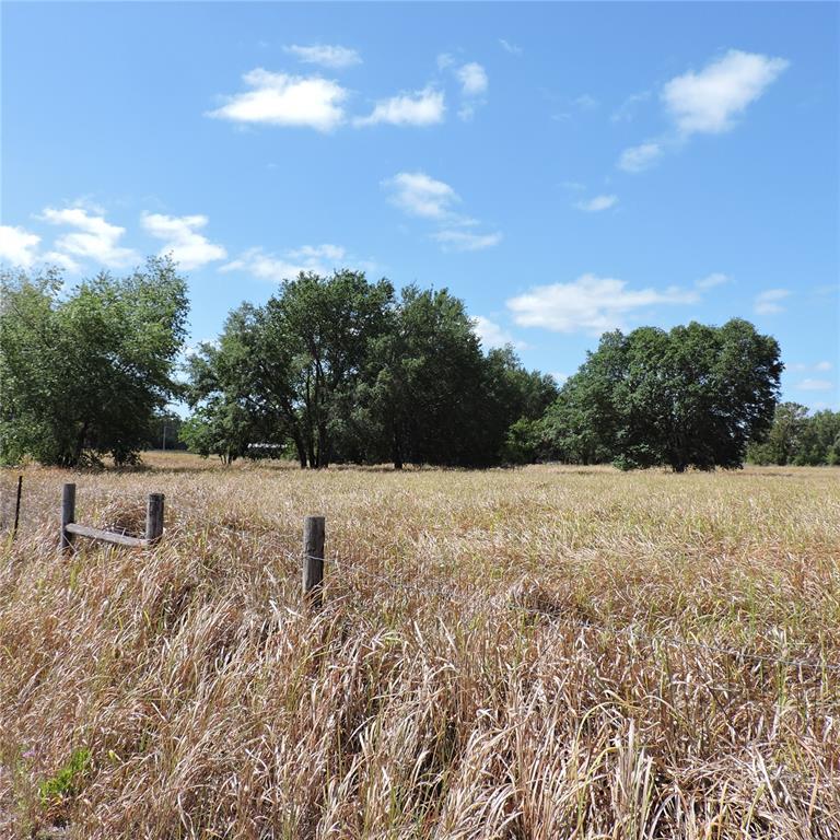 Maricamp Road Ocklawaha, FL 32179 - Photo 19 of 25 a backyard of a house with lots of green space