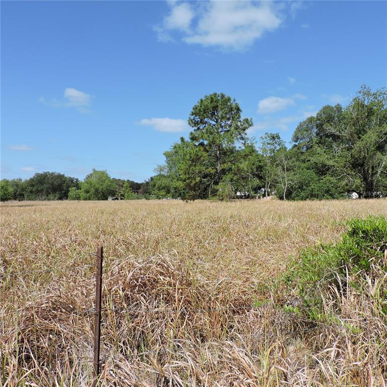 Maricamp Road Ocklawaha, FL 32179 - Photo 21 of 25 a view of lake with green space