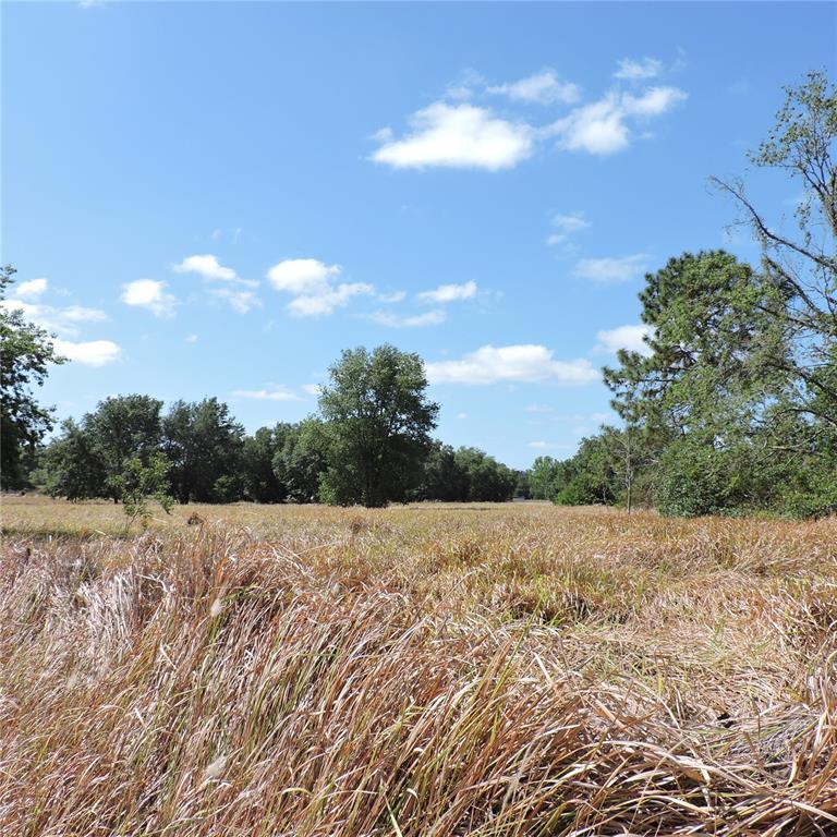 Maricamp Road Ocklawaha, FL 32179 - Photo 24 of 25 a view of outside area