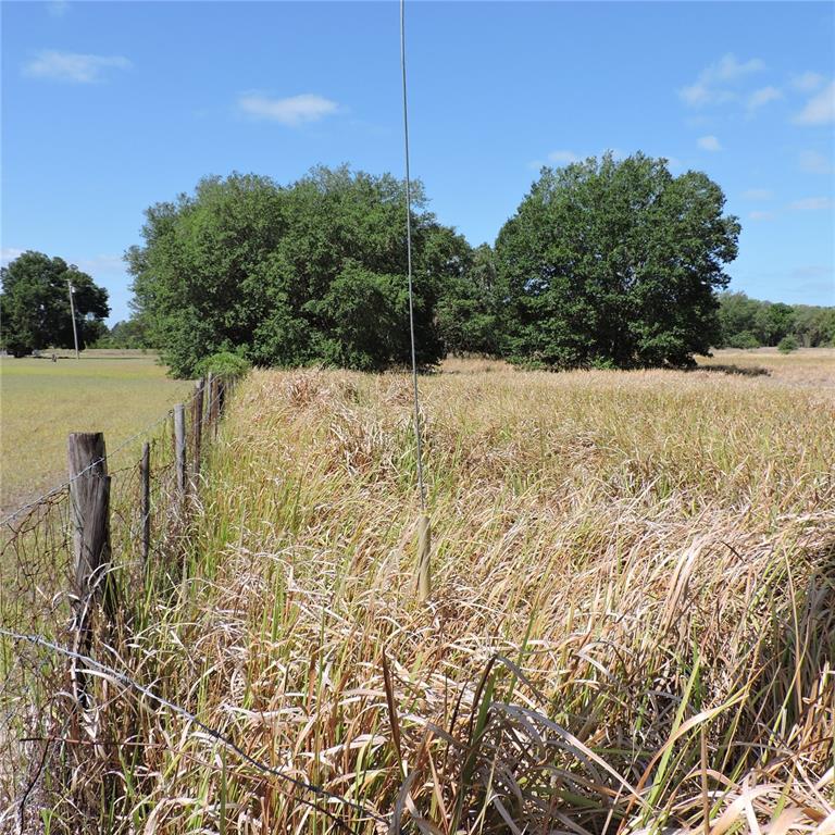 Maricamp Road Ocklawaha, FL 32179 - Photo 7 of 25 a view of a yard