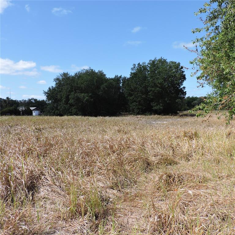 Maricamp Road Ocklawaha, FL 32179 - Photo 10 of 25 a view of patio