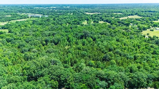 an aerial view of residential houses with outdoor space and trees in the back