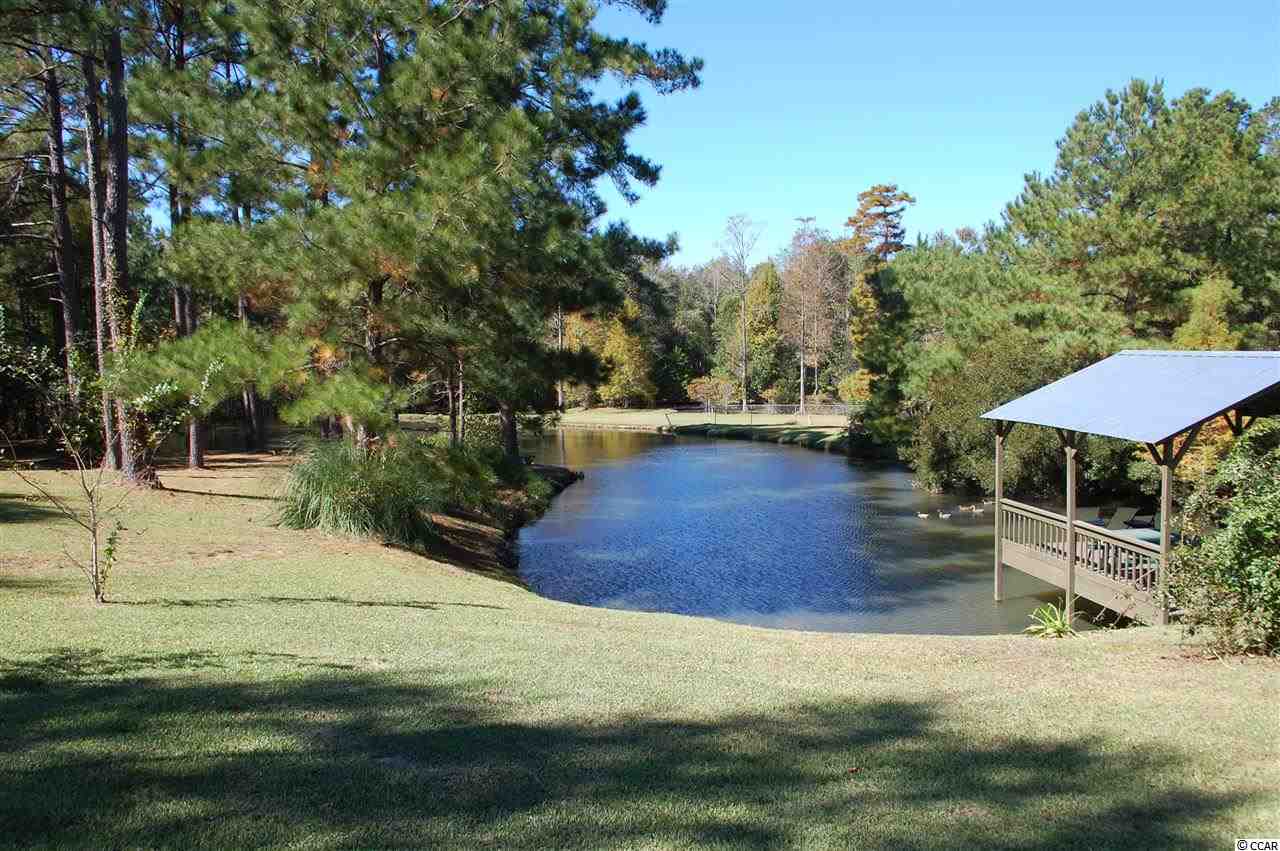 311 Indian Hut Road Georgetown, SC 29440 - Photo 15 of 19