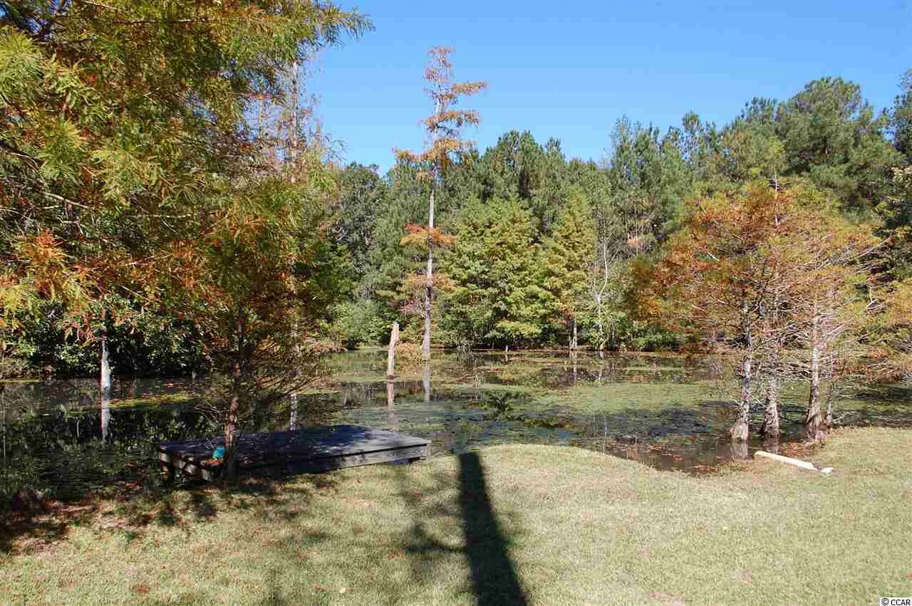 311 Indian Hut Road Georgetown, SC 29440 - Photo 18 of 19