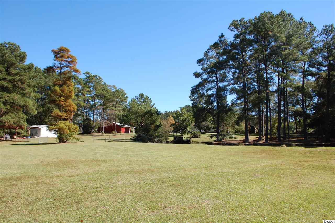 311 Indian Hut Road Georgetown, SC 29440 - Photo 19 of 19