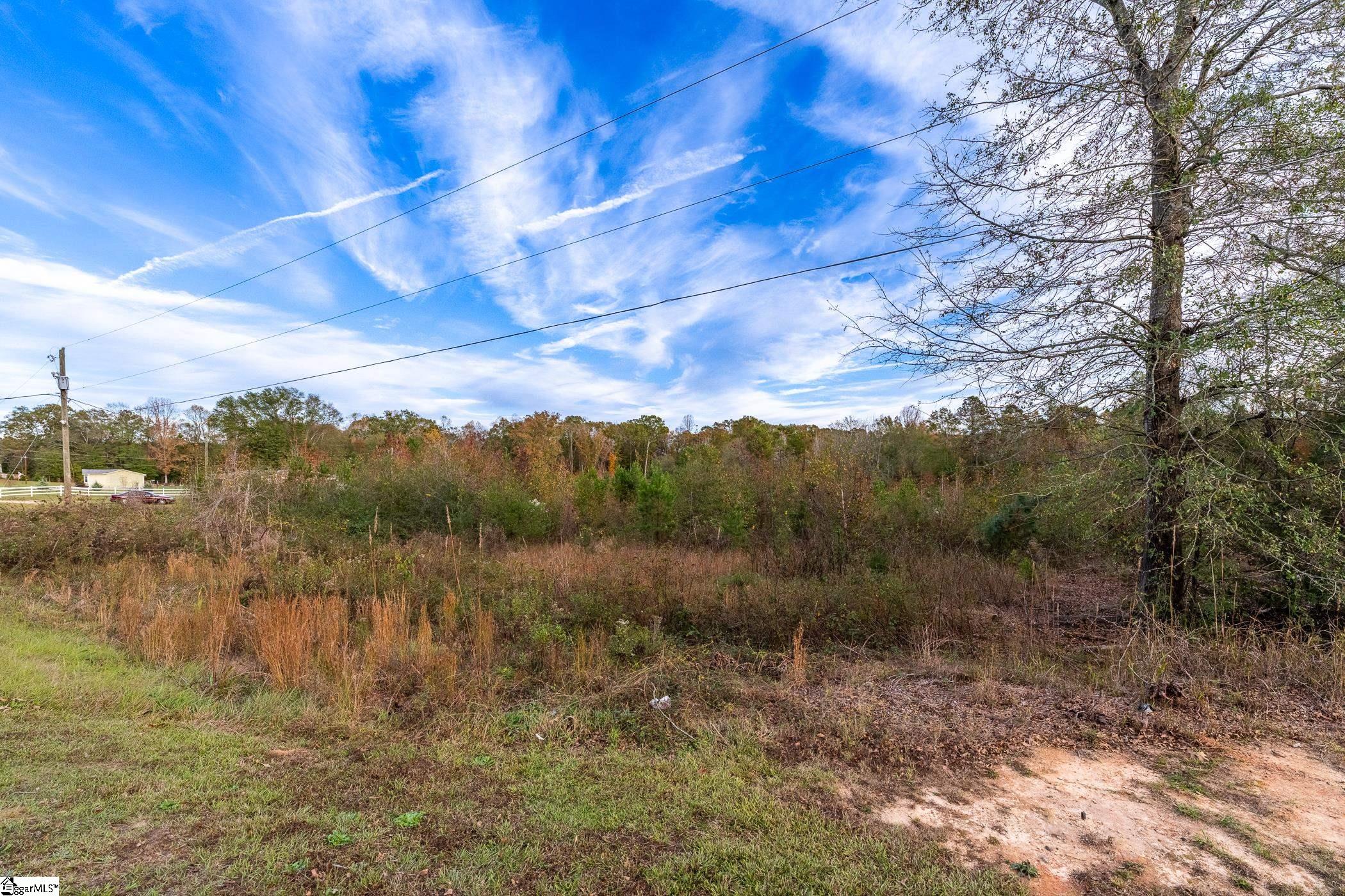 0 South S Highway Gray Court, SC 29645 - Photo 13 of 21