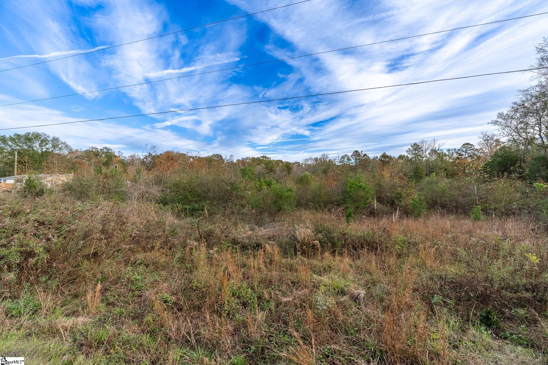 0 South S Highway Gray Court, SC 29645 - Photo 18 of 21