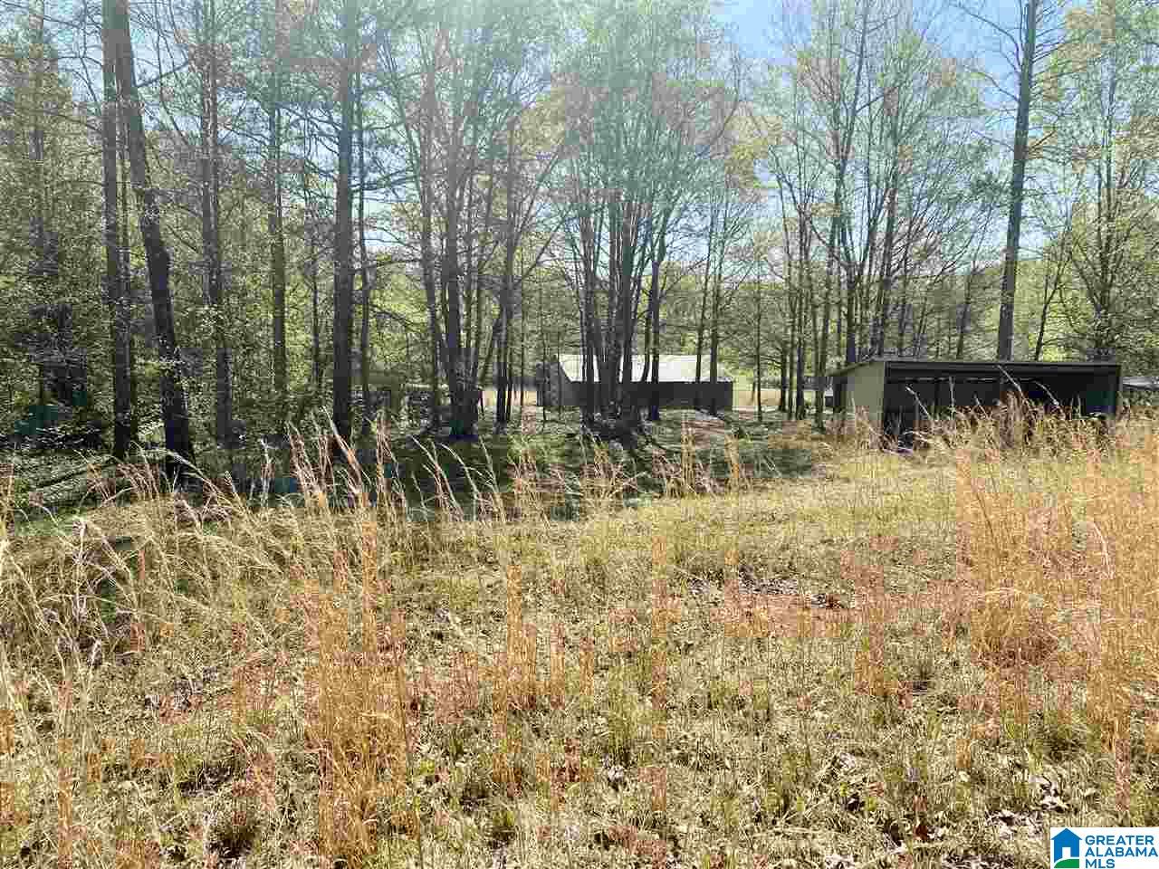 4201 Bristow Cove Road, Unit 1 Boaz, AL 35956 - Photo 8 of 23