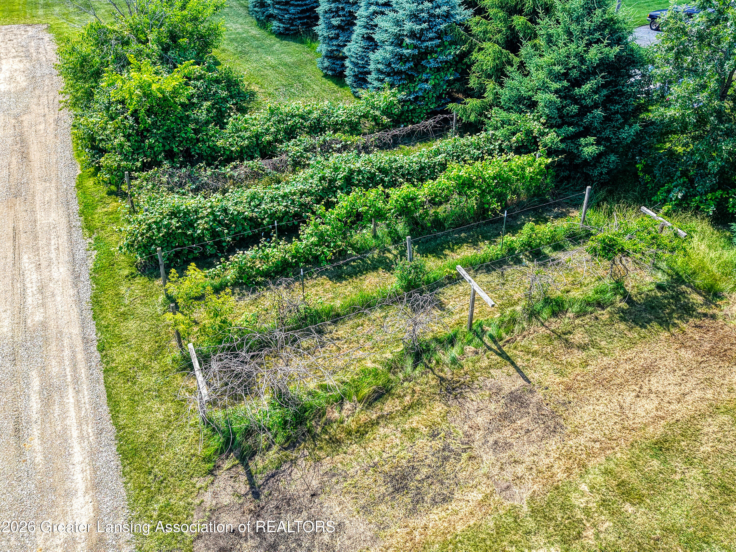 3248 Lienhart Road Dansville, MI 48819 - Photo 52 of 62 Aerial