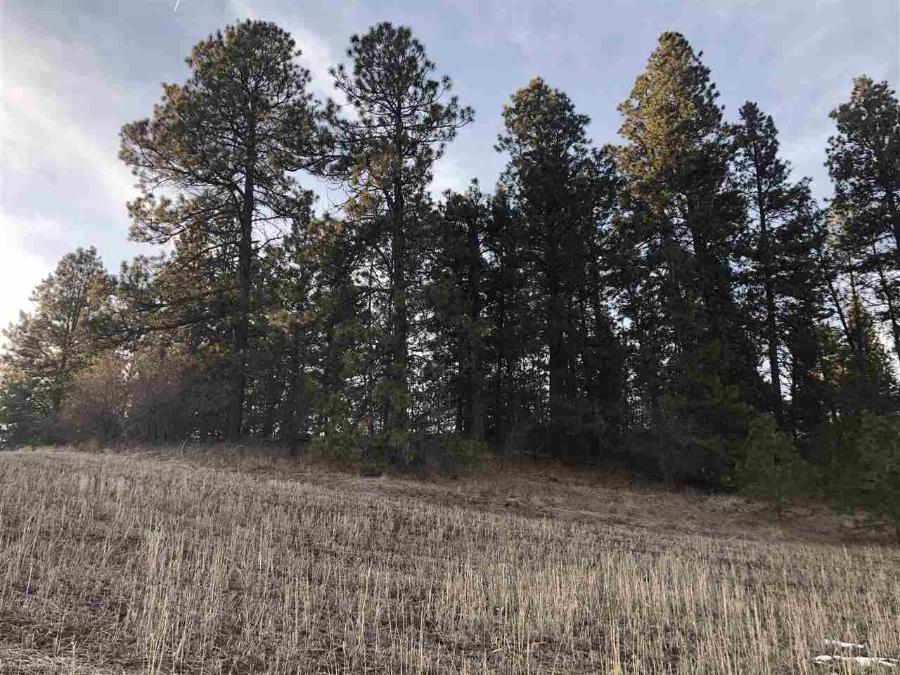 3911 East Clark Road Spokane, WA 99223 - Photo 6 of 10 Gallery Image 6