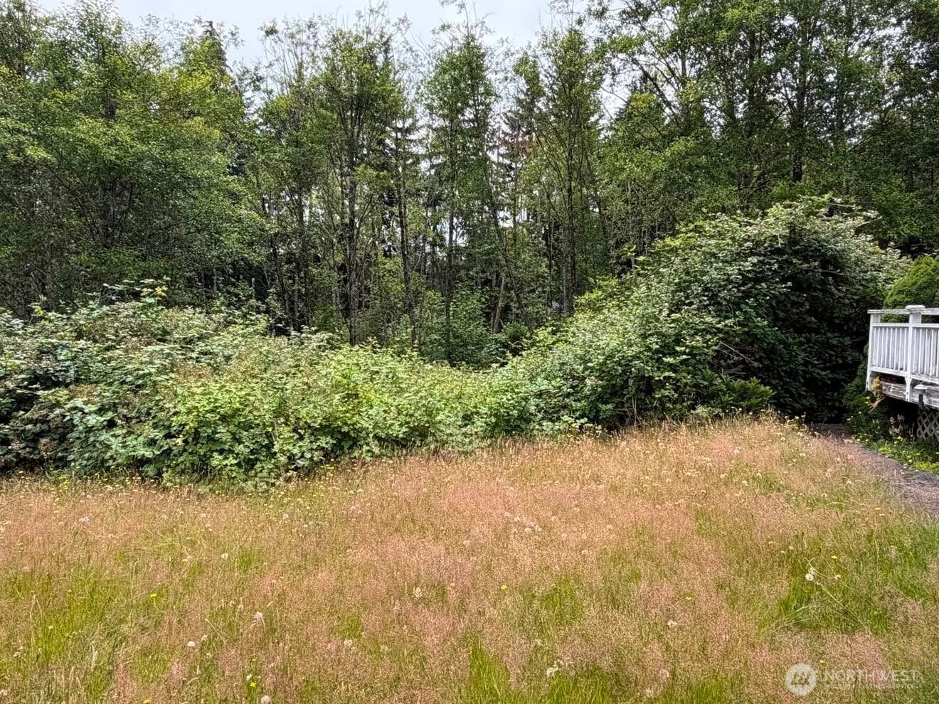 244 North Dubois Road Ariel, WA 98603 - Photo 24 of 34