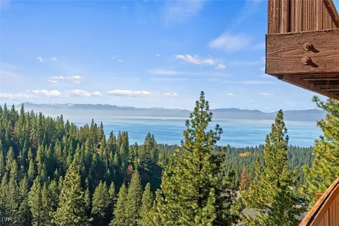 a city view with tall trees