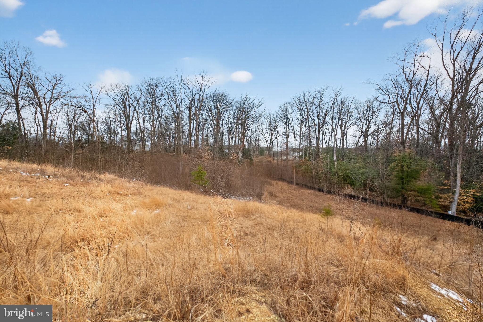 9410 Westphalia Road Upper Marlboro, MD 20774 - Photo 6 of 20 a view of a lake with a trees