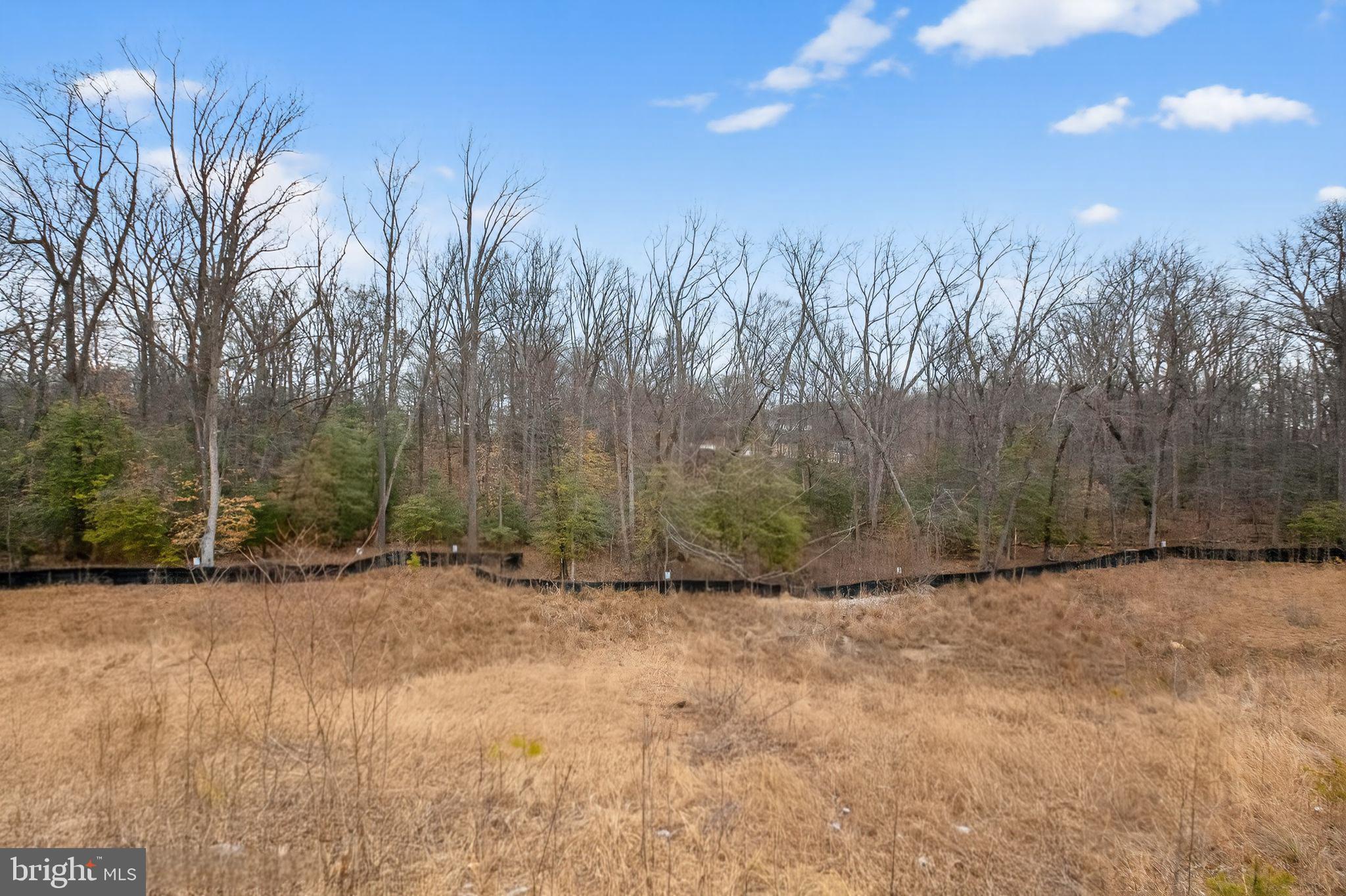 9410 Westphalia Road Upper Marlboro, MD 20774 - Photo 8 of 20 a view of outdoor space with trees