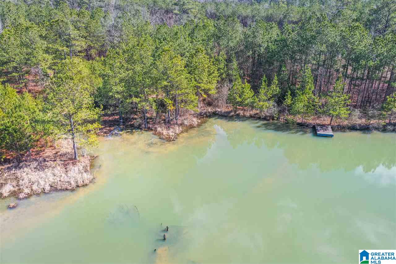 0 Barron Street Steele, AL 35987 - Photo 8 of 14