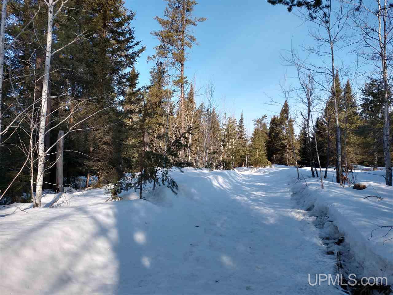 39-acres 39-acres Co Road Ishpeming, MI 49849 - Photo 23 of 39