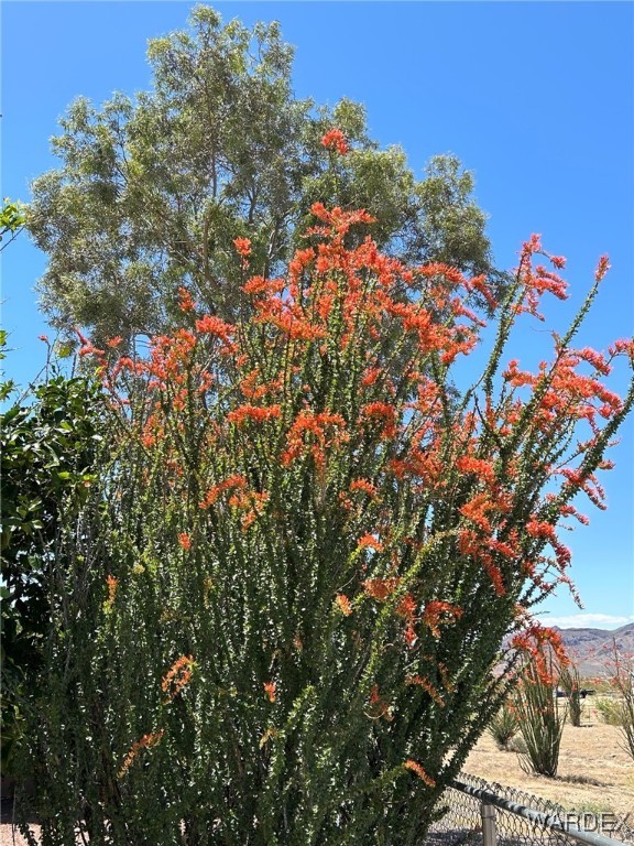 14105 Cactus Road Yucca, AZ 86438 - Photo 43 of 47 Other