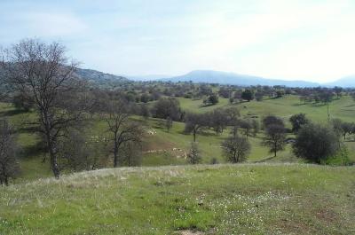 0 Millerton Road Clovis, CA 93619 - Photo 1 of 2 Gallery Image 1