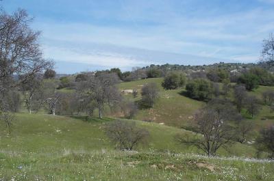 0 Millerton Road Clovis, CA 93619 - Photo 2 of 2 Gallery Image 2