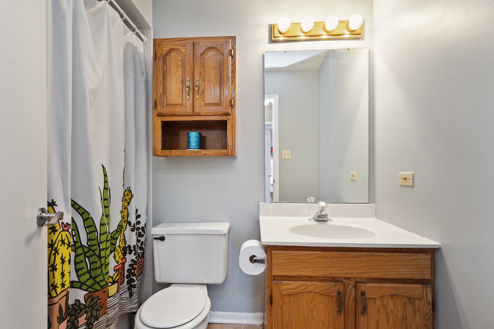 1813 Newport Road Downers Grove, IL 60516 - Photo 19 of 23 a bathroom with a sink a toilet and mirror
