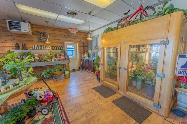a outdoor space with lots of potted plants