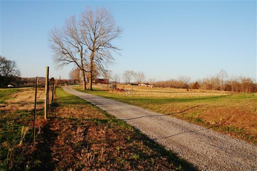 3 Barton Creek Road Cunningham, TN 37052 - Photo 6 of 7 Gallery Image 6