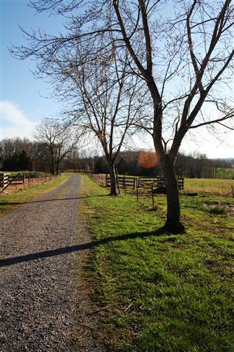 3 Barton Creek Road Cunningham, TN 37052 - Photo 7 of 7 Gallery Image 7