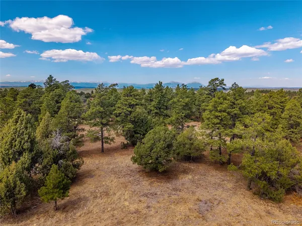 $195,000 | 34999 Timber Park Drive, Trinidad, CO 81082