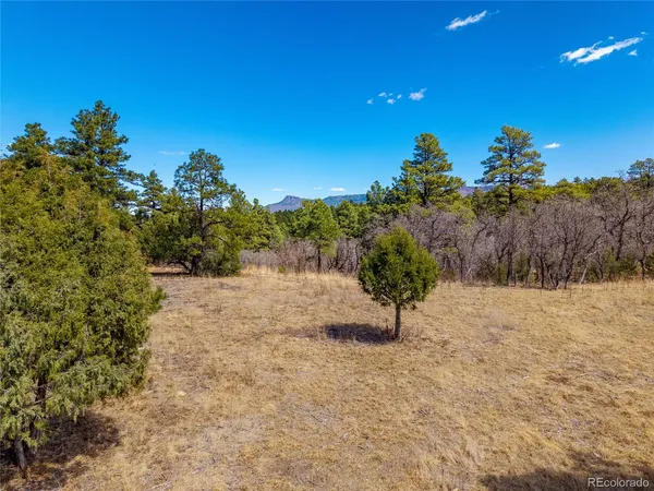 $195,000 | 34999 Timber Park Drive, Trinidad, CO 81082