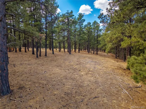 $195,000 | 34999 Timber Park Drive, Trinidad, CO 81082