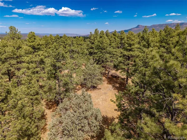 $195,000 | 34999 Timber Park Drive, Trinidad, CO 81082