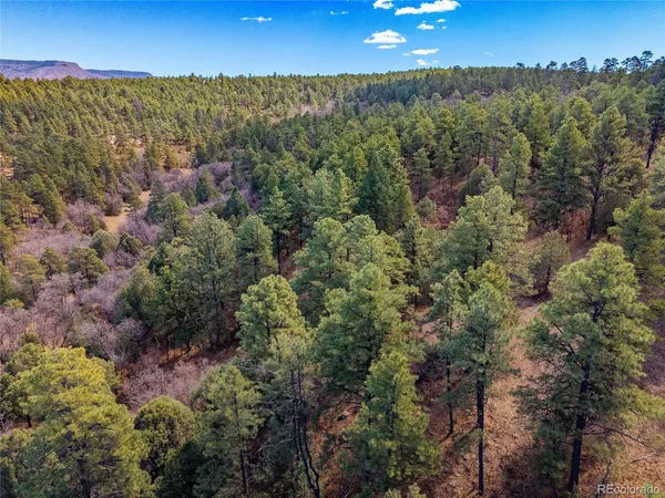 $195,000 | 34999 Timber Park Drive, Trinidad, CO 81082