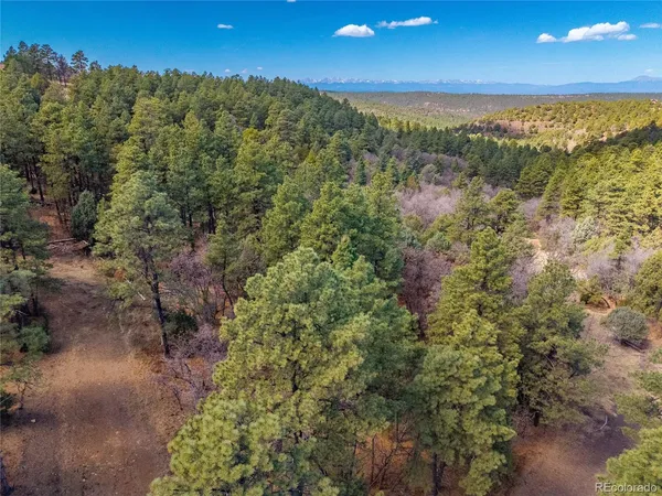 $195,000 | 34999 Timber Park Drive, Trinidad, CO 81082