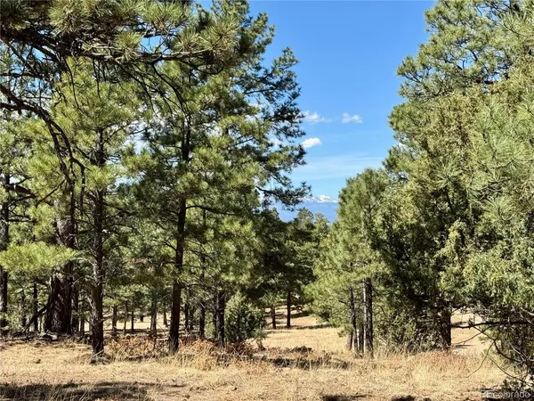 $195,000 | 34999 Timber Park Drive, Trinidad, CO 81082