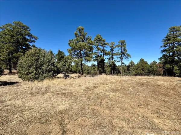 $195,000 | 34999 Timber Park Drive, Trinidad, CO 81082