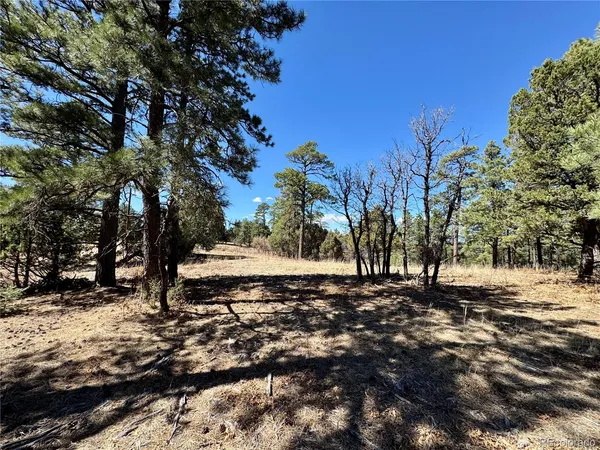 $195,000 | 34999 Timber Park Drive, Trinidad, CO 81082